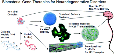Ben Newland Research - Biomaterials Science, 2013, 1, 556-576