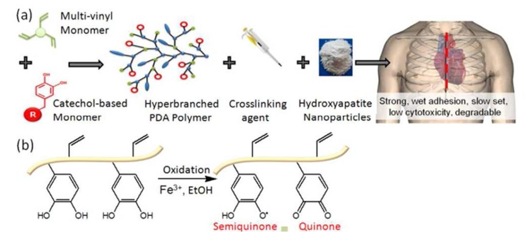 Ben Newland Research - Tissue Adhesive for sternal closure