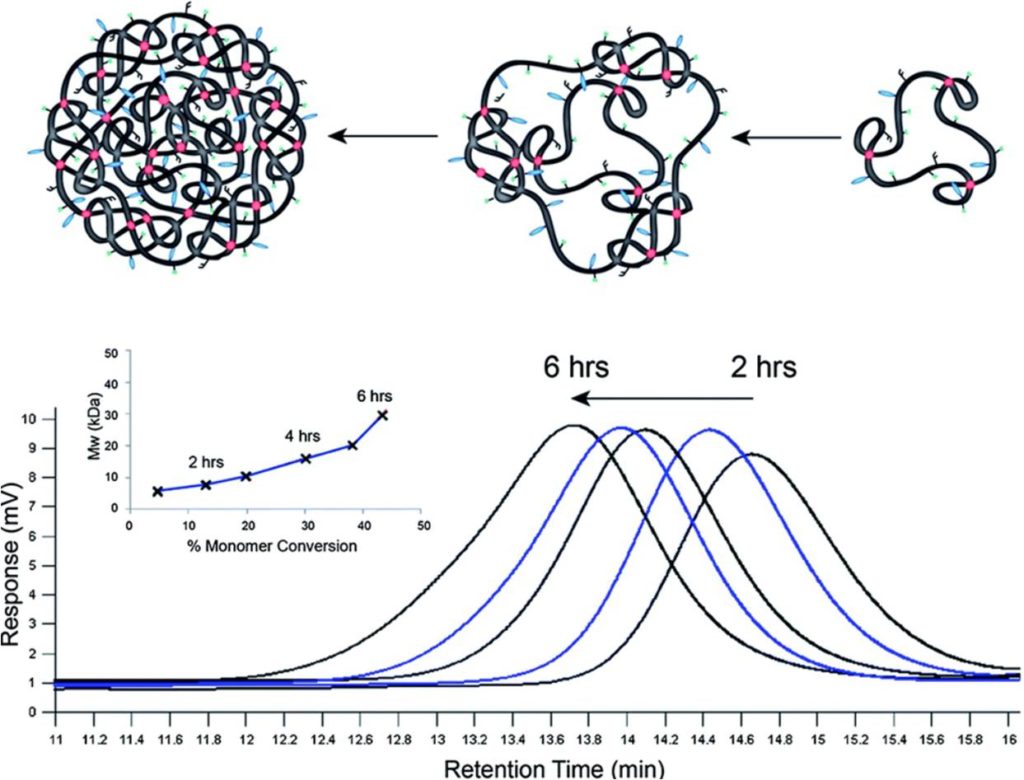 Ben Newland Research - Nanoscale cyclized polymer