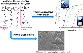 Ben Newland Research - Polymer Chemistry, 2010, 1, 827-830