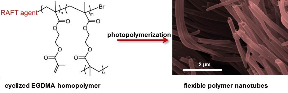 Soft polymer nanotubes for drug delivery