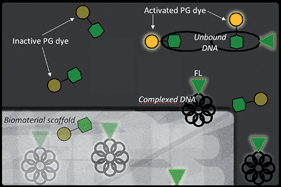 Ben Newland Research - Nanoscale, 2010, 2, 2718-2723