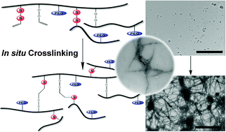 Ben Newland Research - Chemical Communications, 2012, 48, 585-587