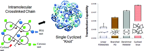 Ben Newland Research - Journal of the American Chemical Society, 2012, 134, 4782–4789