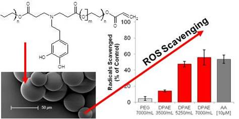 ROS Scavenging Microspheres - antioxidant