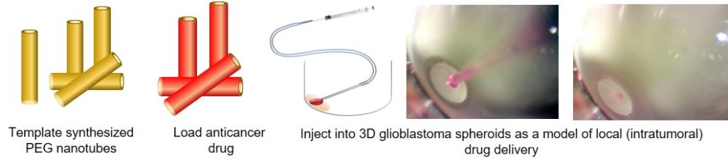 Injection into 3D cell culture. Injection of polymer nanotubes into glioblastoma spheroids. 